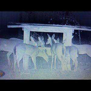 Meet your Posher, Ronald